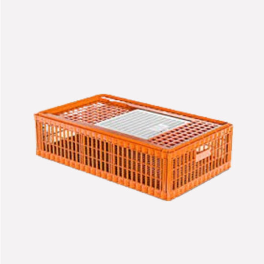 Cage à Poules