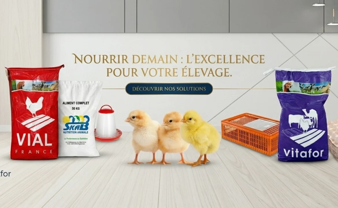 slider_final_1920x800